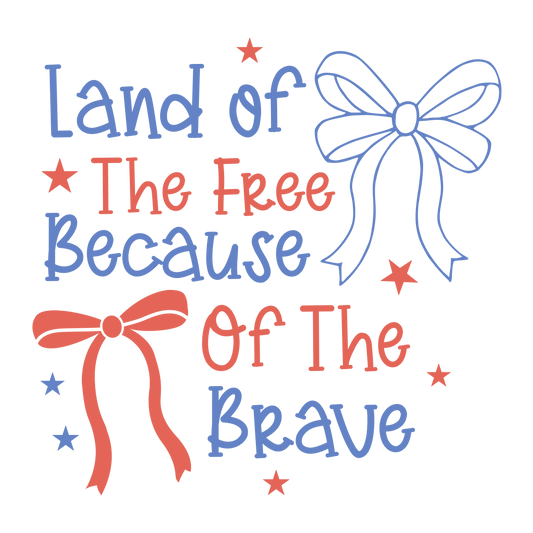 Land of free (front & back) print transfer